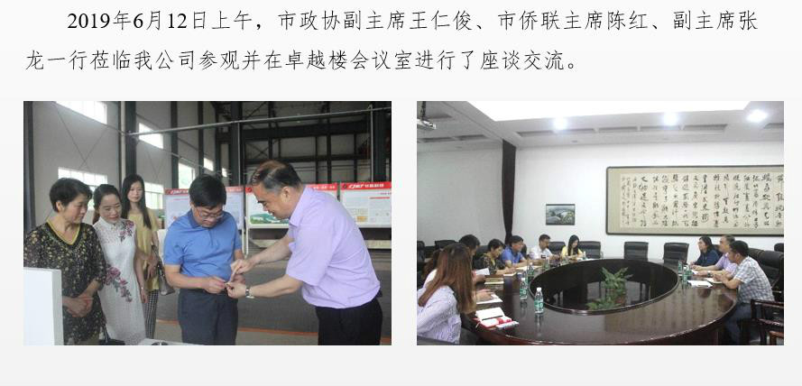 市政協(xié)副主席、僑聯(lián)主席一行蒞臨我公司調(diào)研